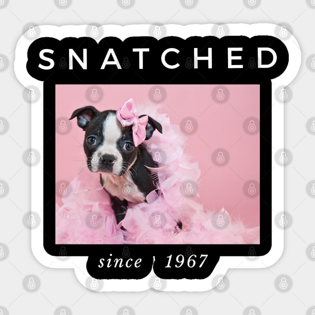 1967 Millennial Snatched Boston Terrier Dog Lover Sticker by familycuteycom